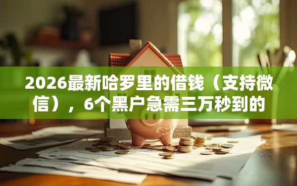 2026最新哈罗里的借钱（支持微信），6个黑户急需三万秒到的的软件无私分享