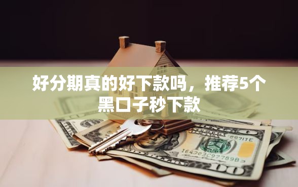 好分期真的好下款吗，推荐5个黑口子秒下款