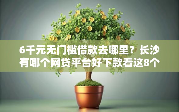 6千元无门槛借款去哪里？长沙有哪个网贷平台好下款看这8个平台