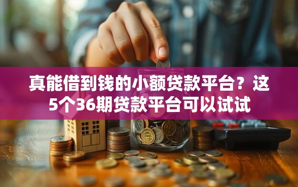 真能借到钱的小额贷款平台？这5个36期贷款平台可以试试