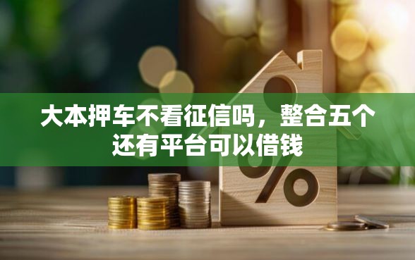 大本押车不看征信吗，整合五个还有平台可以借钱