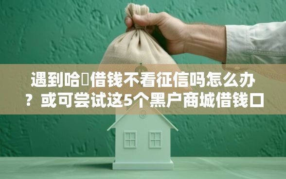 遇到哈啰借钱不看征信吗怎么办？或可尝试这5个黑户商城借钱口子