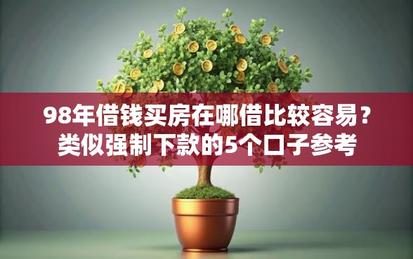 98年借钱买房在哪借比较容易？类似强制下款的5个口子参考