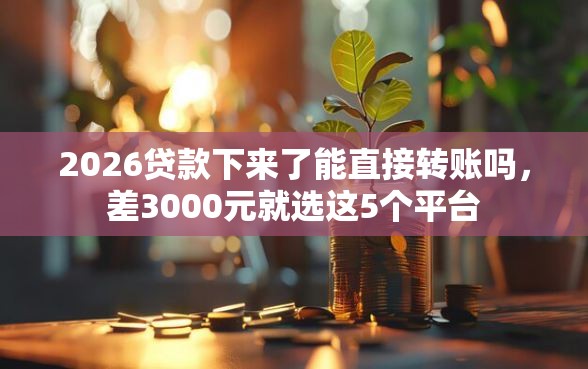 2026贷款下来了能直接转账吗，差3000元就选这5个平台