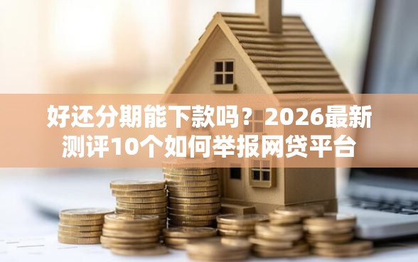 好还分期能下款吗？2026最新测评10个如何举报网贷平台
