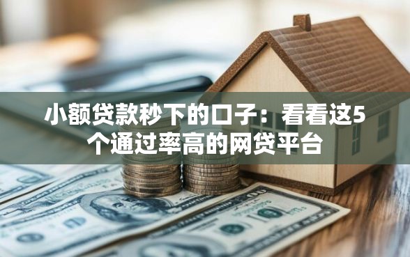 小额贷款秒下的口子：看看这5个通过率高的网贷平台