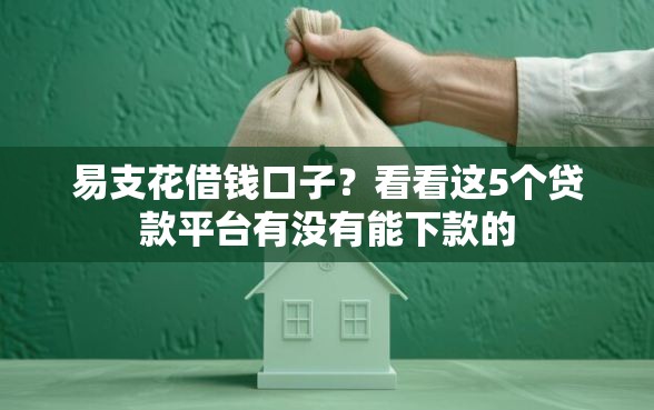 易支花借钱口子？看看这5个贷款平台有没有能下款的