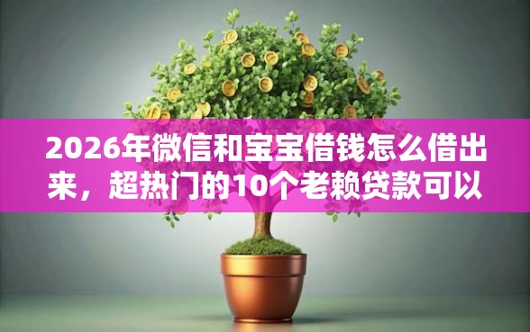 2026年微信和宝宝借钱怎么借出来，超热门的10个老赖贷款可以下的网贷口子推荐
