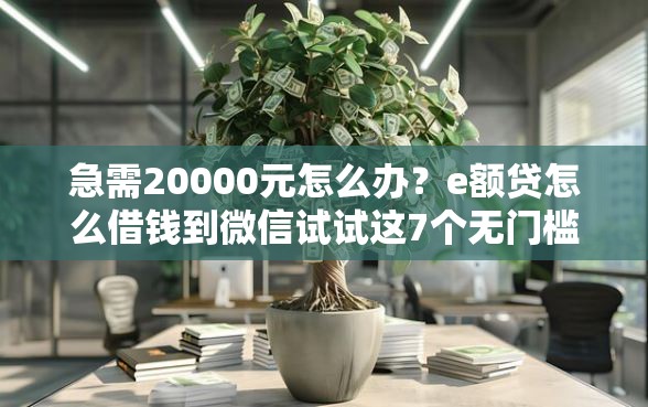 急需20000元怎么办？e额贷怎么借钱到微信试试这7个无门槛平台