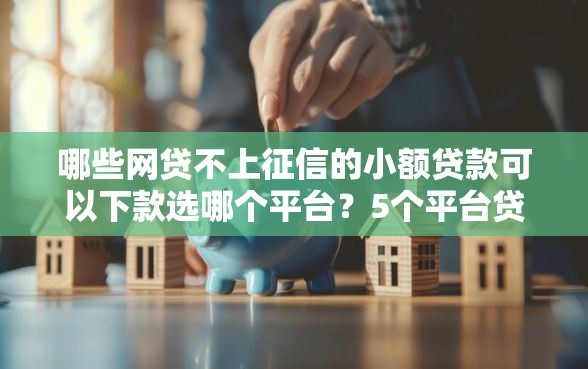 哪些网贷不上征信的小额贷款可以下款选哪个平台？5个平台贷款安全推荐