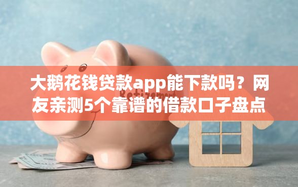 大鹅花钱贷款app能下款吗？网友亲测5个靠谱的借款口子盘点