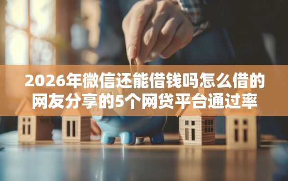 2026年微信还能借钱吗怎么借的网友分享的5个网贷平台通过率高我觉得不错！