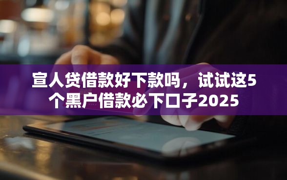 宣人贷借款好下款吗，试试这5个黑户借款必下口子2025