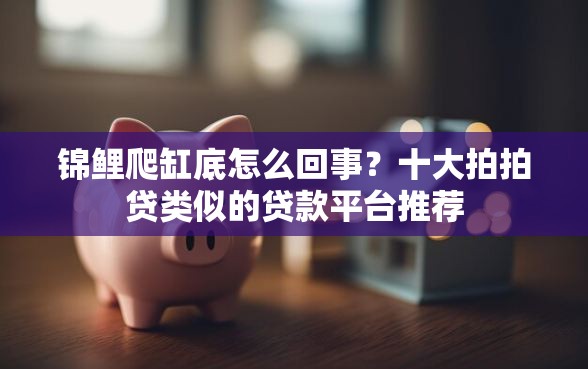 锦鲤爬缸底怎么回事？十大拍拍贷类似的贷款平台推荐