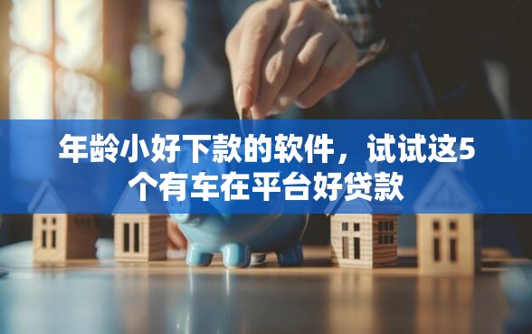 年龄小好下款的软件，试试这5个有车在平台好贷款