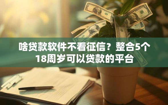 啥贷款软件不看征信？整合5个18周岁可以贷款的平台
