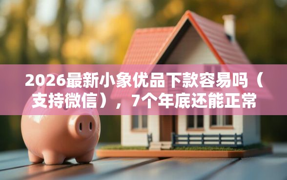 2026最新小象优品下款容易吗（支持微信），7个年底还能正常下款的平台无私分享