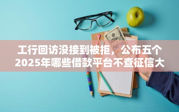 工行回访没接到被拒，公布五个2025年哪些借款平台不查征信大数据