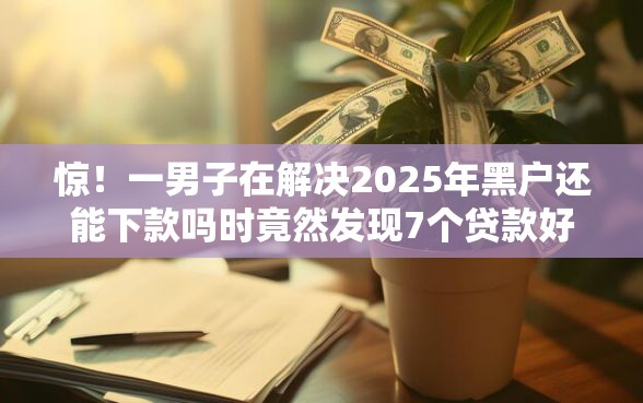 惊！一男子在解决2025年黑户还能下款吗时竟然发现7个贷款好做不看征信的口子，事后分享了出来