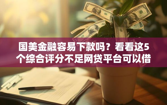 国美金融容易下款吗？看看这5个综合评分不足网贷平台可以借款