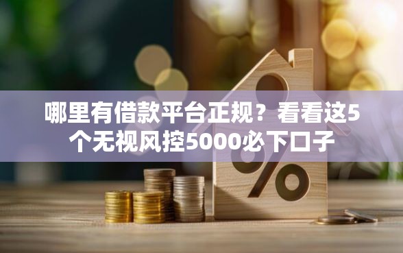 哪里有借款平台正规？看看这5个无视风控5000必下口子