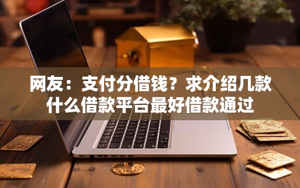 网友：支付分借钱？求介绍几款什么借款平台最好借款通过