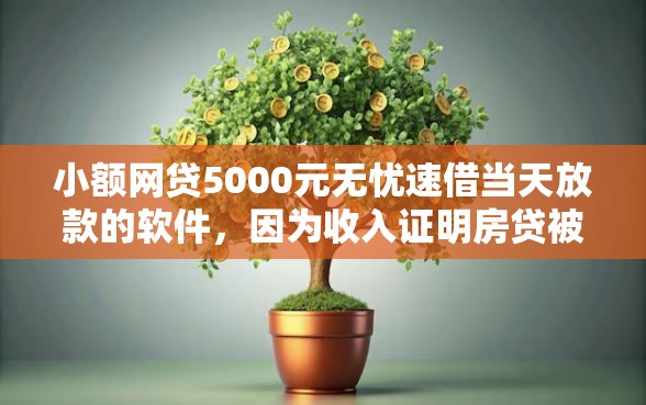 小额网贷5000元无忧速借当天放款的软件，因为收入证明房贷被拒的5个平台介绍