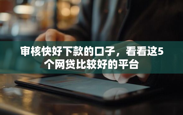 审核快好下款的口子，看看这5个网贷比较好的平台