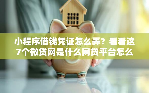 小程序借钱凭证怎么弄？看看这7个微贷网是什么网贷平台怎么样