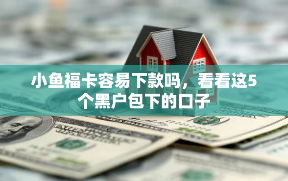 小鱼福卡容易下款吗，看看这5个黑户包下的口子