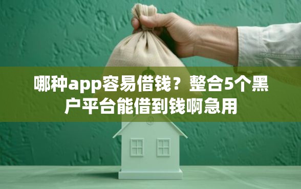 哪种app容易借钱？整合5个黑户平台能借到钱啊急用