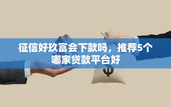 征信好玖富会下款吗，推荐5个哪家贷款平台好