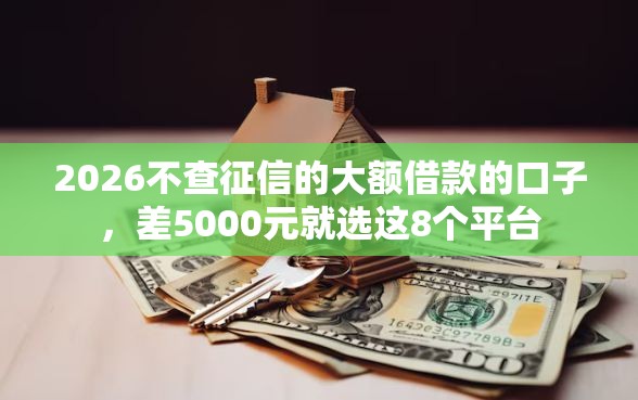 2026不查征信的大额借款的口子，差5000元就选这8个平台