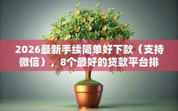 2026最新手续简单好下款（支持微信），8个最好的贷款平台排行无私分享