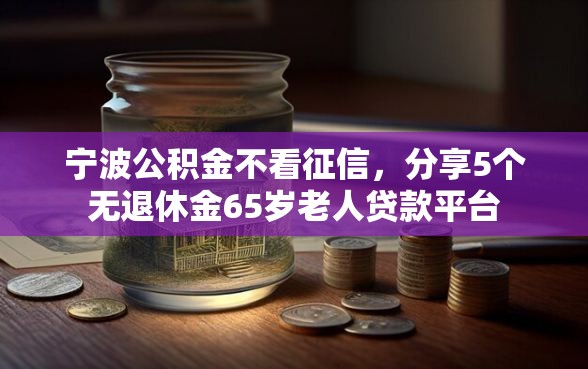宁波公积金不看征信，分享5个无退休金65岁老人贷款平台