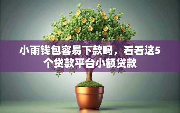 小雨钱包容易下款吗，看看这5个贷款平台小额贷款