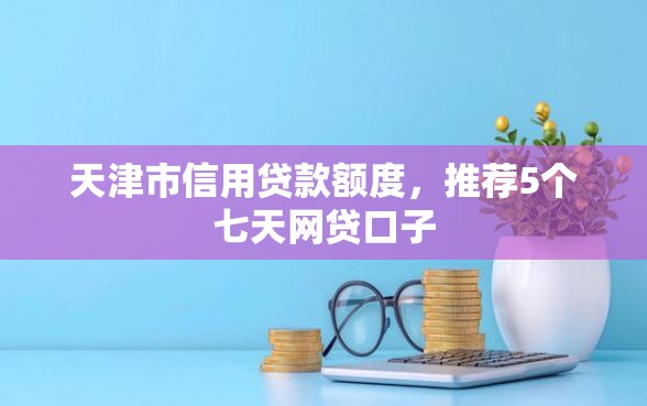 天津市信用贷款额度，推荐5个七天网贷口子