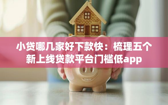 小贷哪几家好下款快：梳理五个新上线贷款平台门槛低app