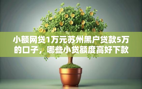 小额网贷1万元苏州黑户贷款5万的口子，哪些小贷额度高好下款的的5个平台介绍
