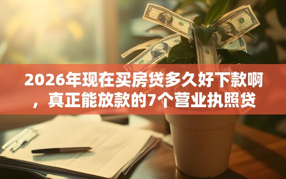 2026年现在买房贷多久好下款啊，真正能放款的7个营业执照贷款平台推荐