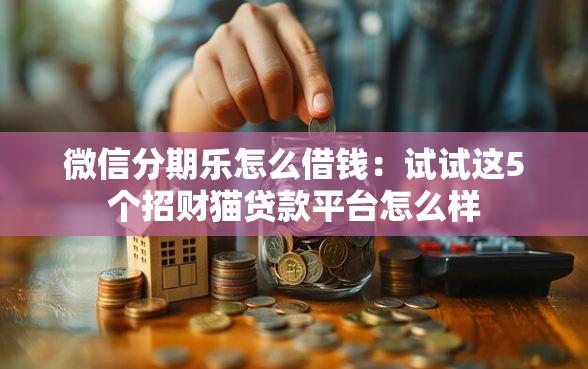 微信分期乐怎么借钱：试试这5个招财猫贷款平台怎么样
