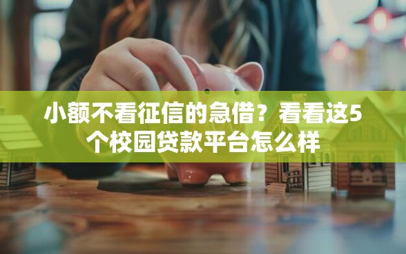 小额不看征信的急借？看看这5个校园贷款平台怎么样