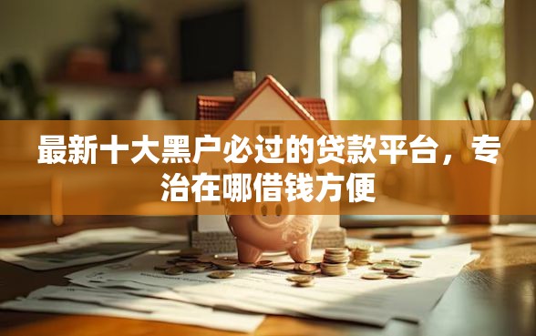 最新十大黑户必过的贷款平台，专治在哪借钱方便