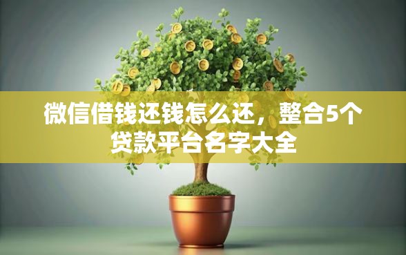 微信借钱还钱怎么还，整合5个贷款平台名字大全