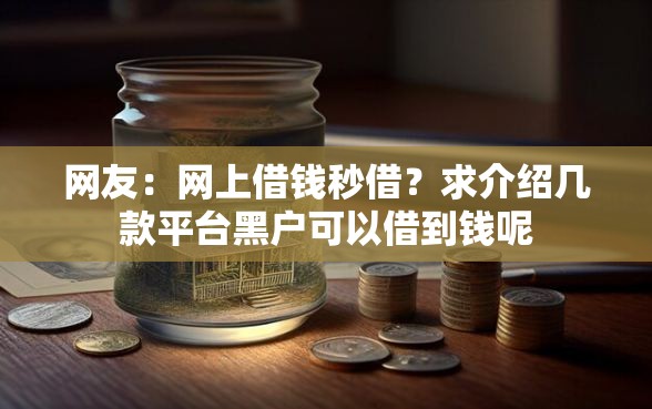 网友：网上借钱秒借？求介绍几款平台黑户可以借到钱呢
