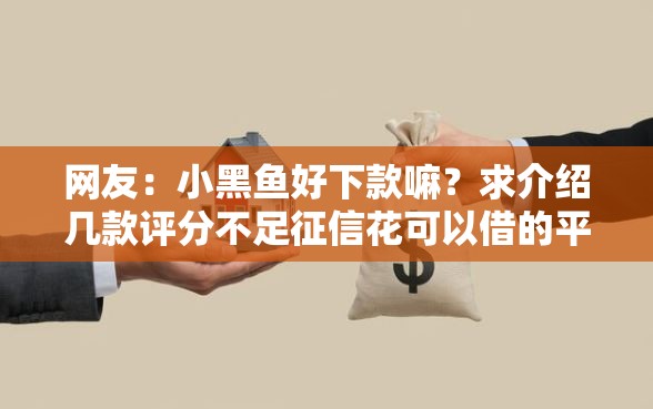 网友：小黑鱼好下款嘛？求介绍几款评分不足征信花可以借的平台