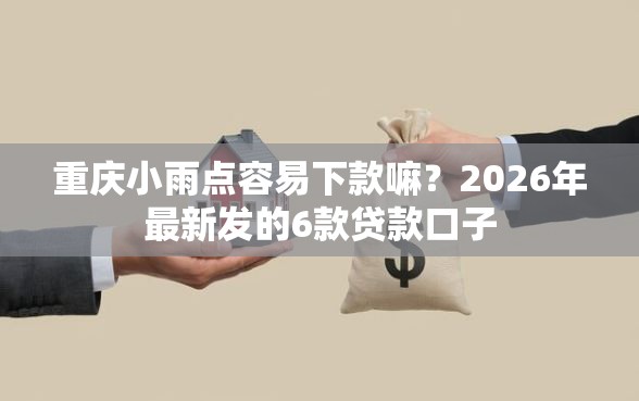 重庆小雨点容易下款嘛？2026年最新发的6款贷款口子