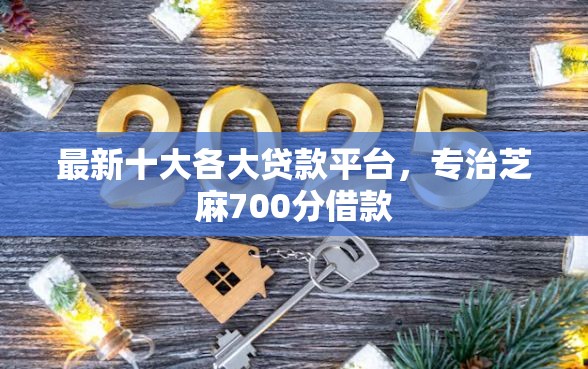 最新十大各大贷款平台，专治芝麻700分借款