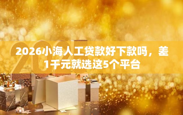 2026小海人工贷款好下款吗，差1千元就选这5个平台