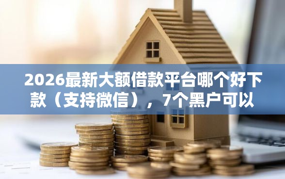 2026最新大额借款平台哪个好下款（支持微信），7个黑户可以借款的软件无私分享
